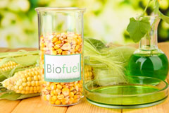 Repton biofuel availability