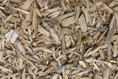 biomass boilers Repton